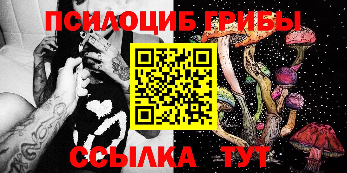 Псилоцибиновые грибы GOLDEN TEACHER Усть-Джегута